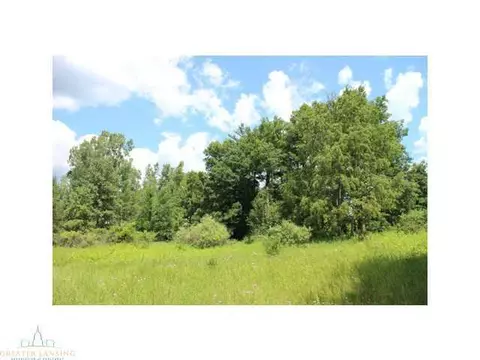 64 Haslett Rd, Haslett, MI 48840 photo 11