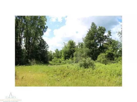 64 Haslett Rd, Haslett, MI 48840 photo 9