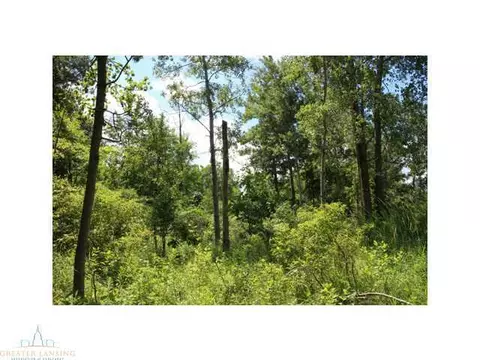 64 Haslett Rd, Haslett, MI 48840 photo 4
