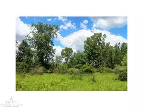 64 Haslett Rd, Haslett, MI 48840 photo 12