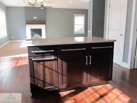 13785 Bauerle, Dewitt, MI 48820 photo 10