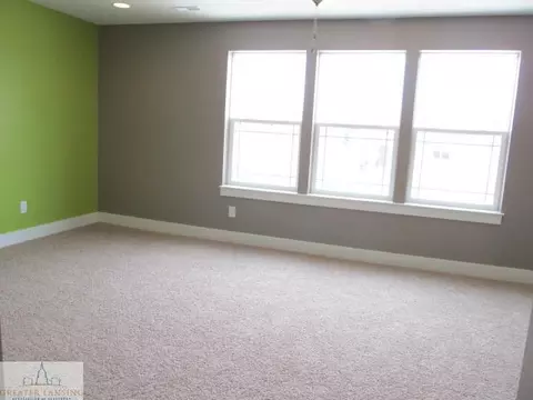 13785 Bauerle, Dewitt, MI 48820 photo 16
