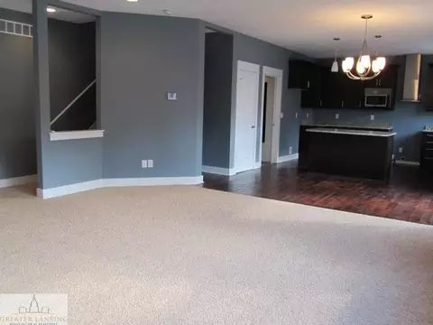 13785 Bauerle, Dewitt, MI 48820 photo 6