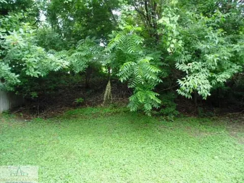 1908 Thompson St, Lansing, MI 48906 photo 21