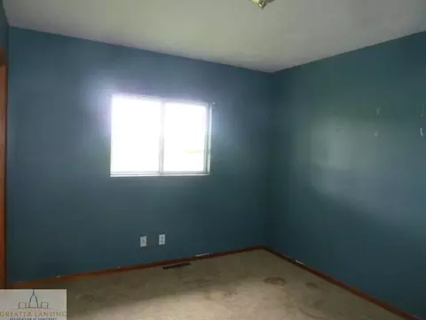 4451 Maple Rapids Rd, Elsie, MI 48831 photo 4