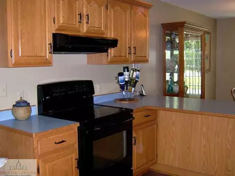 2576 Brookview Ln, Dewitt, MI 48820 photo 4
