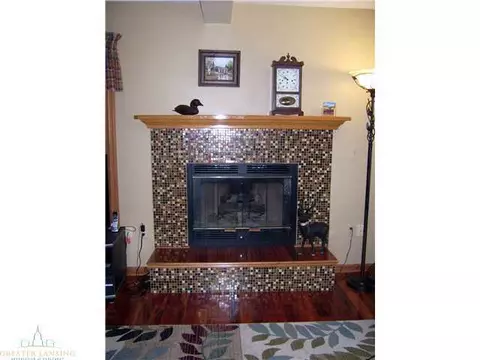 2576 Brookview Ln, Dewitt, MI 48820 photo 8