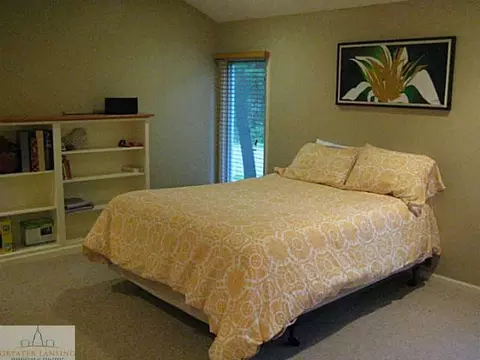 6215 Oakpark Trl, Haslett, MI 48840 photo 12