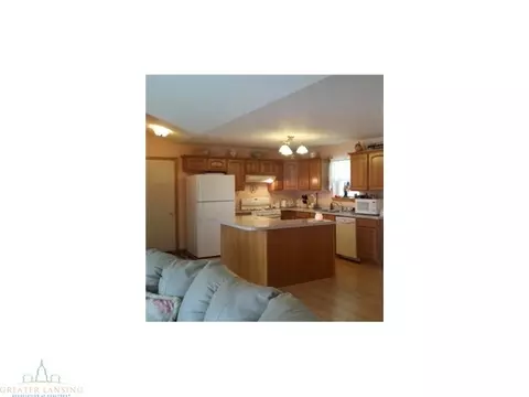9530 W Howe, Eagle, MI 48822 photo 14