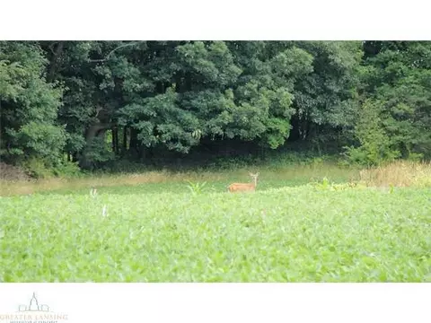 9530 W Howe, Eagle, MI 48822 photo 11