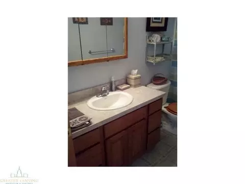 9530 W Howe, Eagle, MI 48822 photo 16