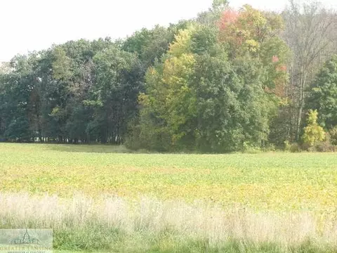 9530 W Howe, Eagle, MI 48822 photo 25