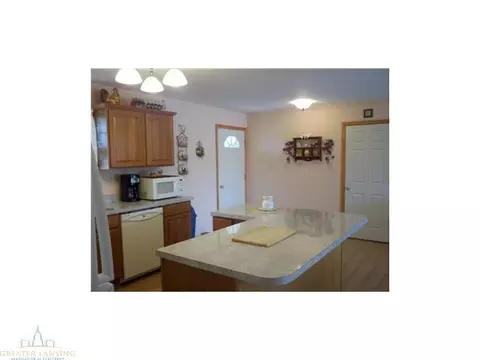 9530 W Howe, Eagle, MI 48822 photo 15