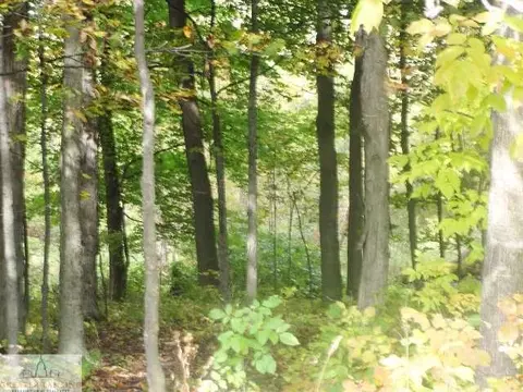 9530 W Howe, Eagle, MI 48822 photo 12