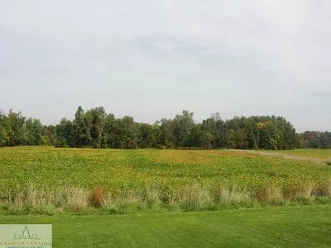 9530 W Howe, Eagle, MI 48822 photo 10
