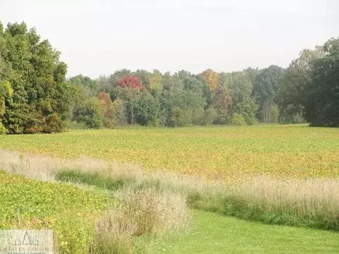 9530 W Howe, Eagle, MI 48822 photo 5