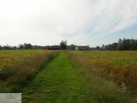 9530 W Howe, Eagle, MI 48822 photo 6