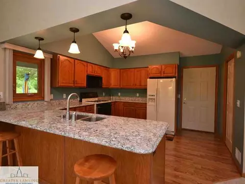 9538 Walnut, Dimondale, MI 48821 photo 8
