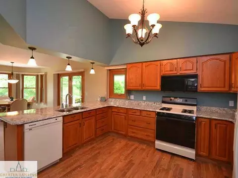 9538 Walnut, Dimondale, MI 48821 photo 9