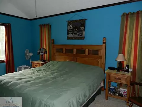 3200 E Howe Rd, Dewitt, MI 48820 photo 11