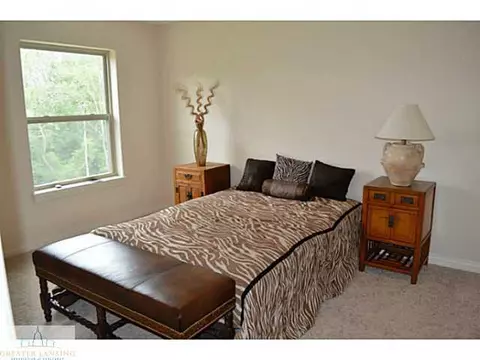 16775 Meadowbrook, Haslett, MI 48840 photo 24