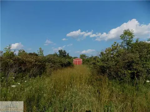 10151 Pioneer, Eagle, MI 48822 photo 2
