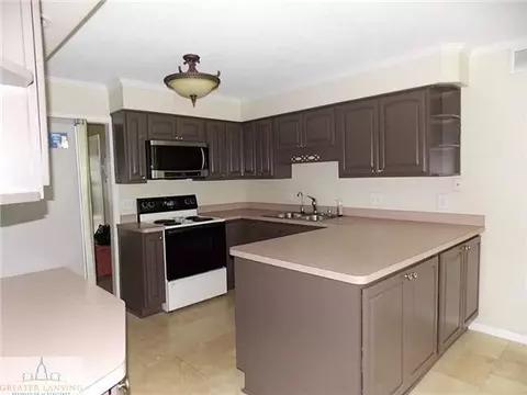 6371 Lansdown Dr, Dimondale, MI 48821 photo 17