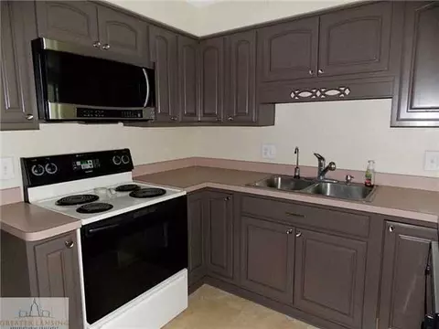 6371 Lansdown Dr, Dimondale, MI 48821 photo 16