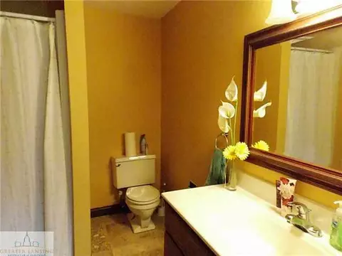 6371 Lansdown Dr, Dimondale, MI 48821 photo 24