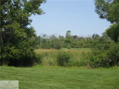 1776 Nemoke Trl, Haslett, MI 48840 photo 20