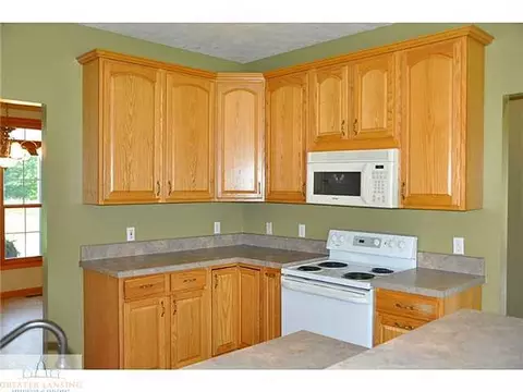 8388 W Britton Rd, Perry, MI 48872 photo 7