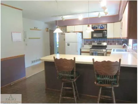 11458 W W Riv, Dewitt, MI 48820 photo 10