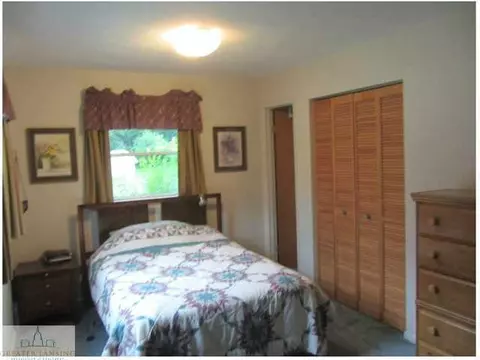 11458 W W Riv, Dewitt, MI 48820 photo 13