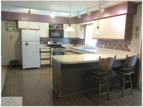 11458 W W Riv, Dewitt, MI 48820 photo 9