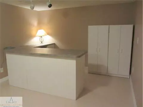 11458 W W Riv, Dewitt, MI 48820 photo 19