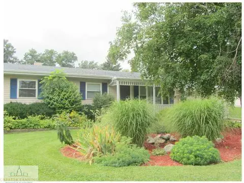 11458 W W Riv, Dewitt, MI 48820 photo 1