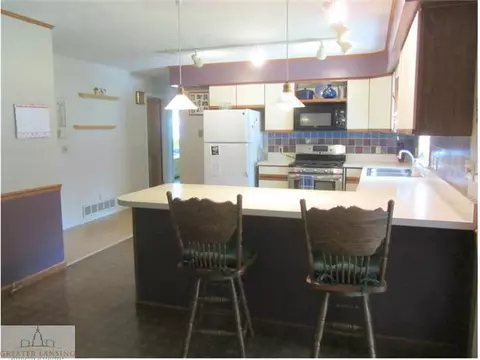11458 W W Riv, Dewitt, MI 48820 photo 8