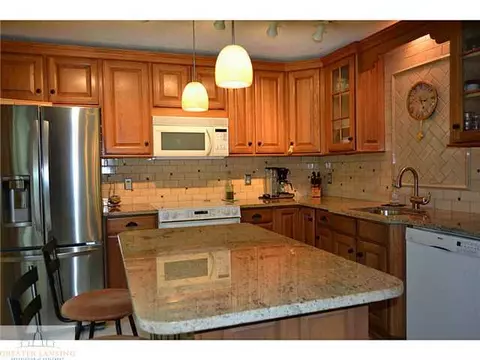 12541 Wood Rd, Dewitt, MI 48820 photo 11