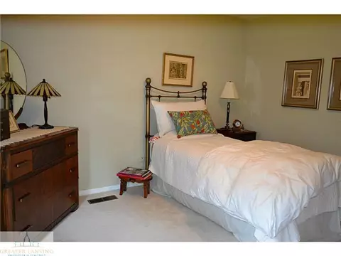 12541 Wood Rd, Dewitt, MI 48820 photo 18