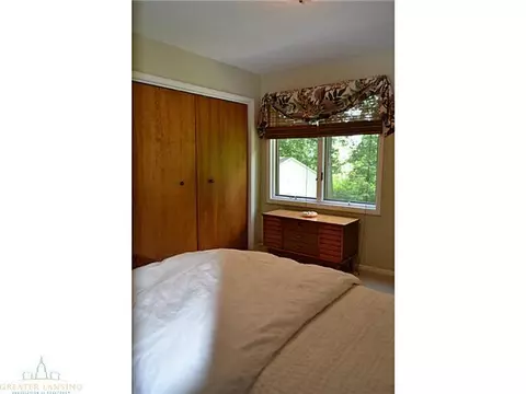 12541 Wood Rd, Dewitt, MI 48820 photo 19