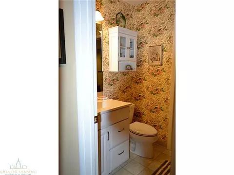 12541 Wood Rd, Dewitt, MI 48820 photo 13