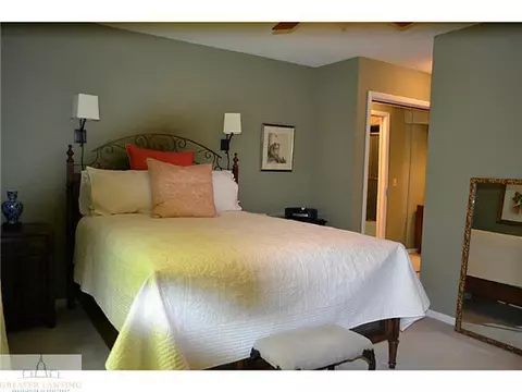 12541 Wood Rd, Dewitt, MI 48820 photo 16