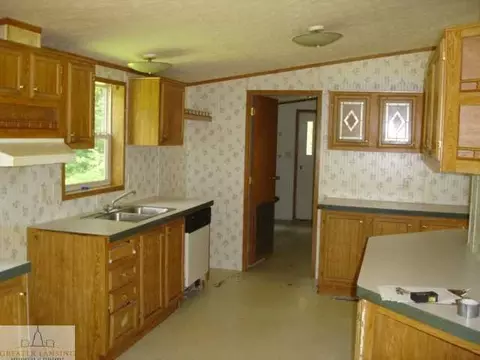 3755 E Chadwick, Dewitt, MI 48820 photo 4