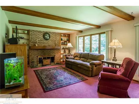 12563 S Wright Rd, Eagle, MI 48822 photo 6