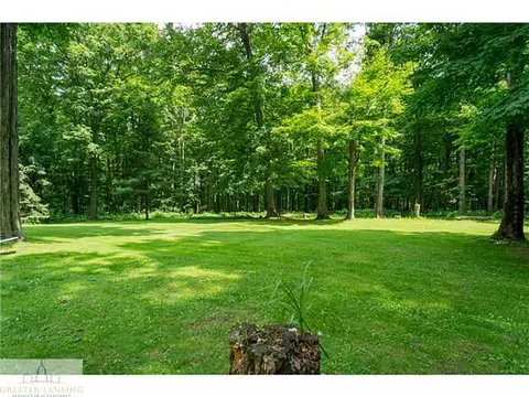 12563 S Wright Rd, Eagle, MI 48822 photo 22