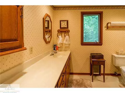 12563 S Wright Rd, Eagle, MI 48822 photo 13