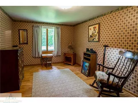 12563 S Wright Rd, Eagle, MI 48822 photo 14