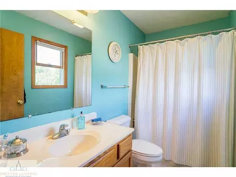 13810 Oakes Rd, Perry, MI 48872 photo 15