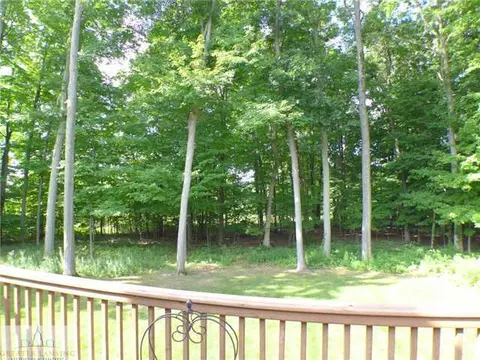 13474 Speckledwood Dr, Dewitt, MI 48820 photo 22