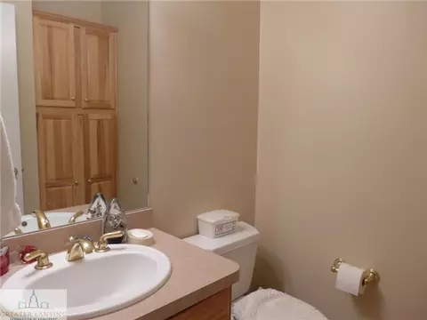 13474 Speckledwood Dr, Dewitt, MI 48820 photo 20
